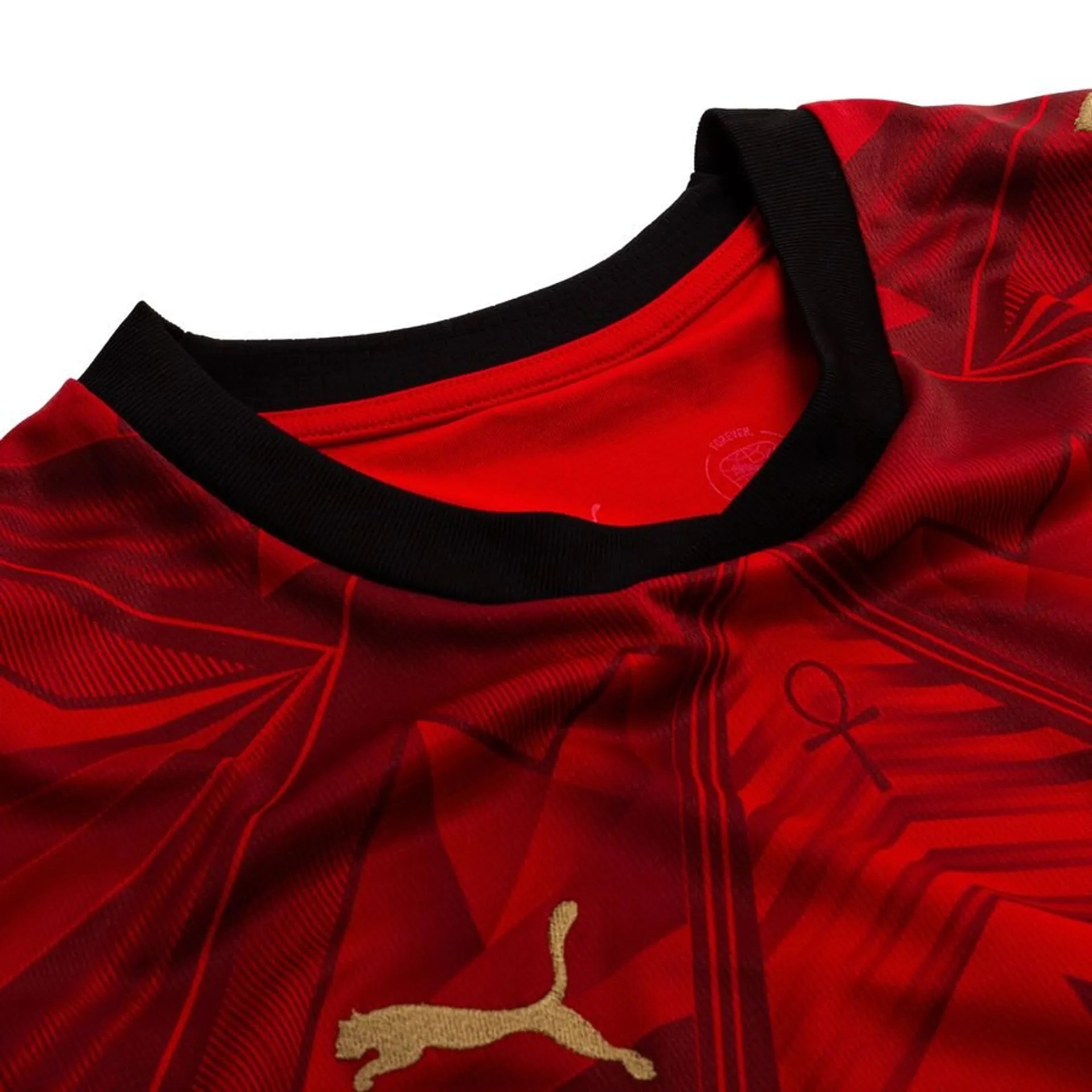 EGYPT 2026 HOME KIT