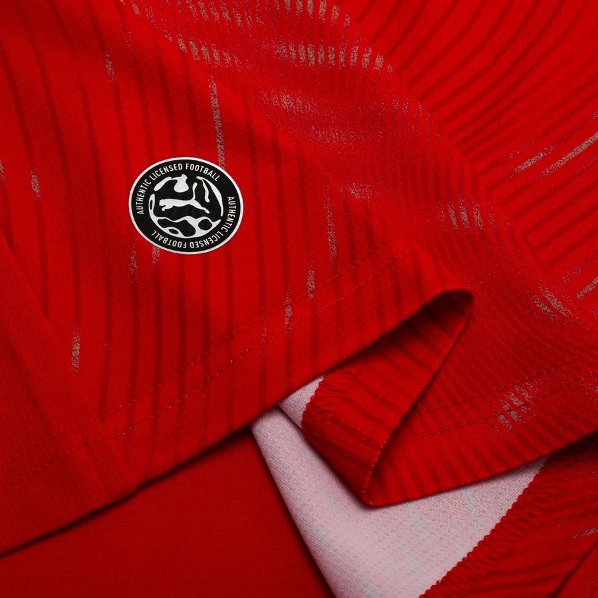 SWITZERLAND 2026 HOME KIT
