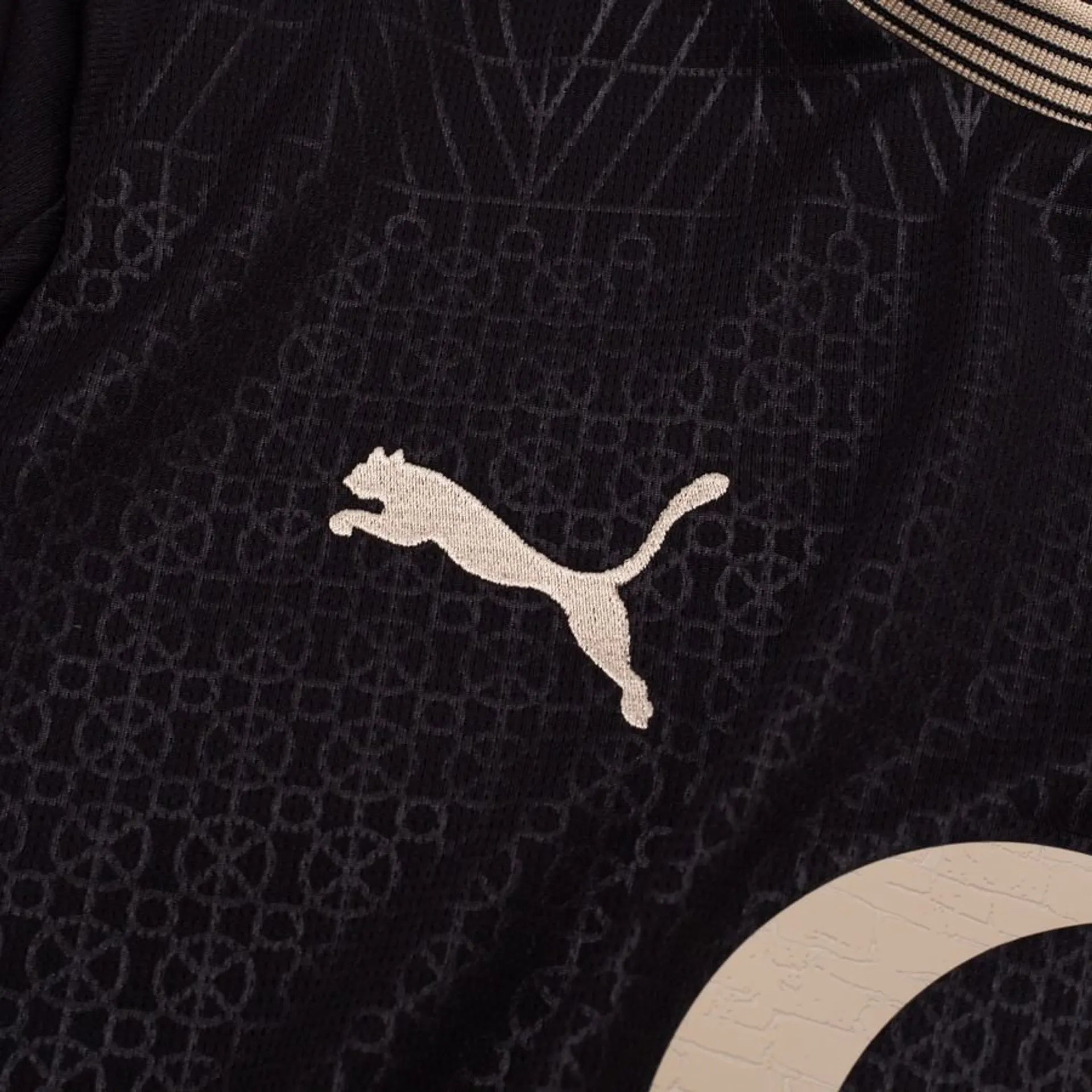 BORUSSIA DORTMUND 2025/26 LIMITED EDITION KIT