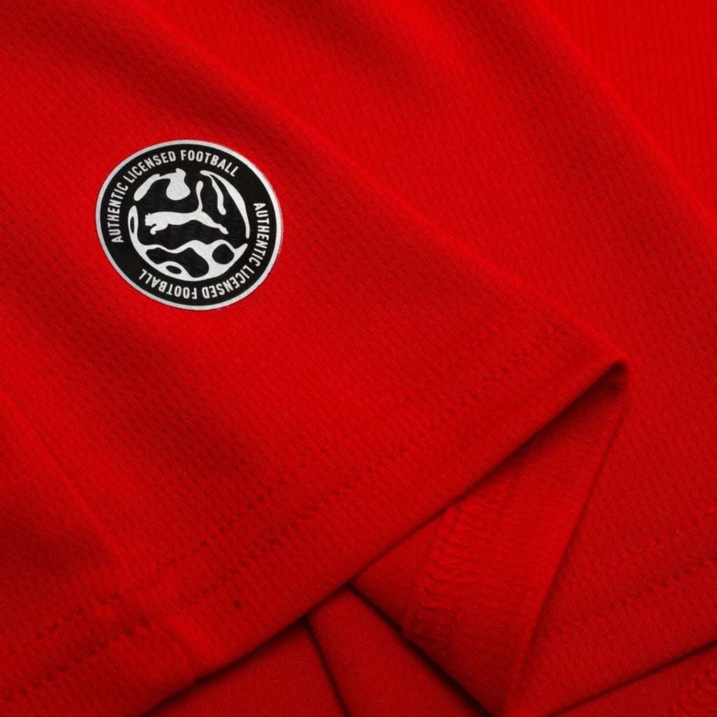 AUSTRIA 2026 HOME KIT