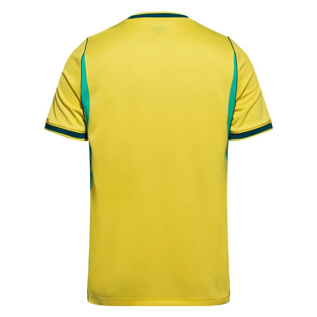 BRAZIL 2026 HOME KIT