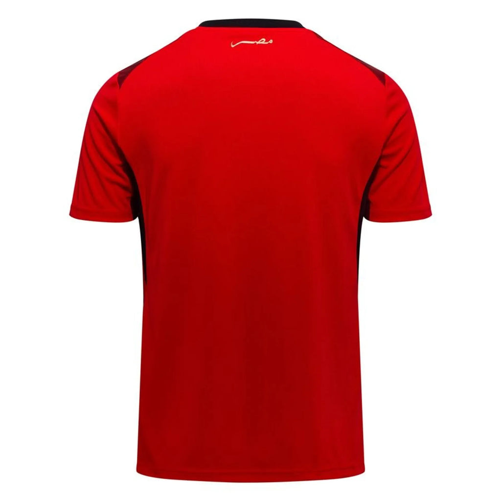 EGYPT 2026 HOME KIT