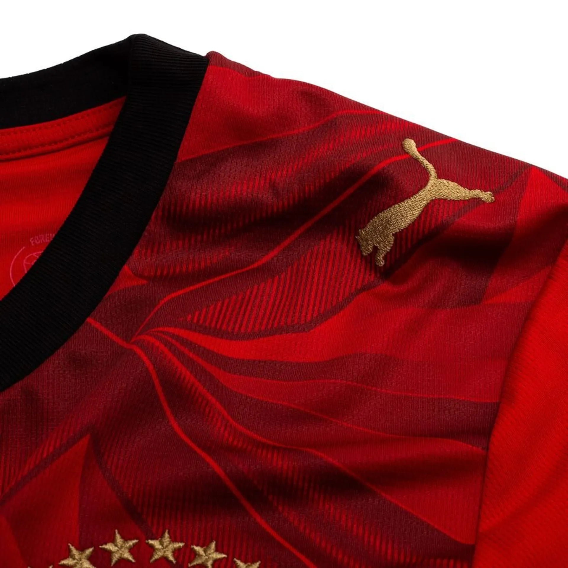 EGYPT 2026 HOME KIT